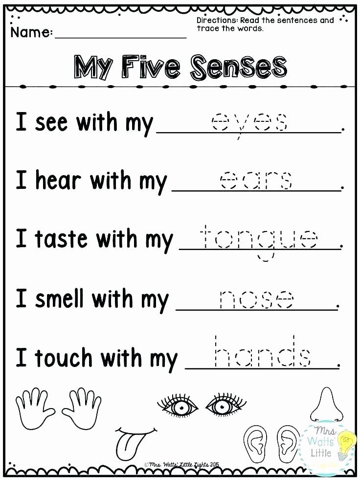 My Five Senses Worksheet Preschool