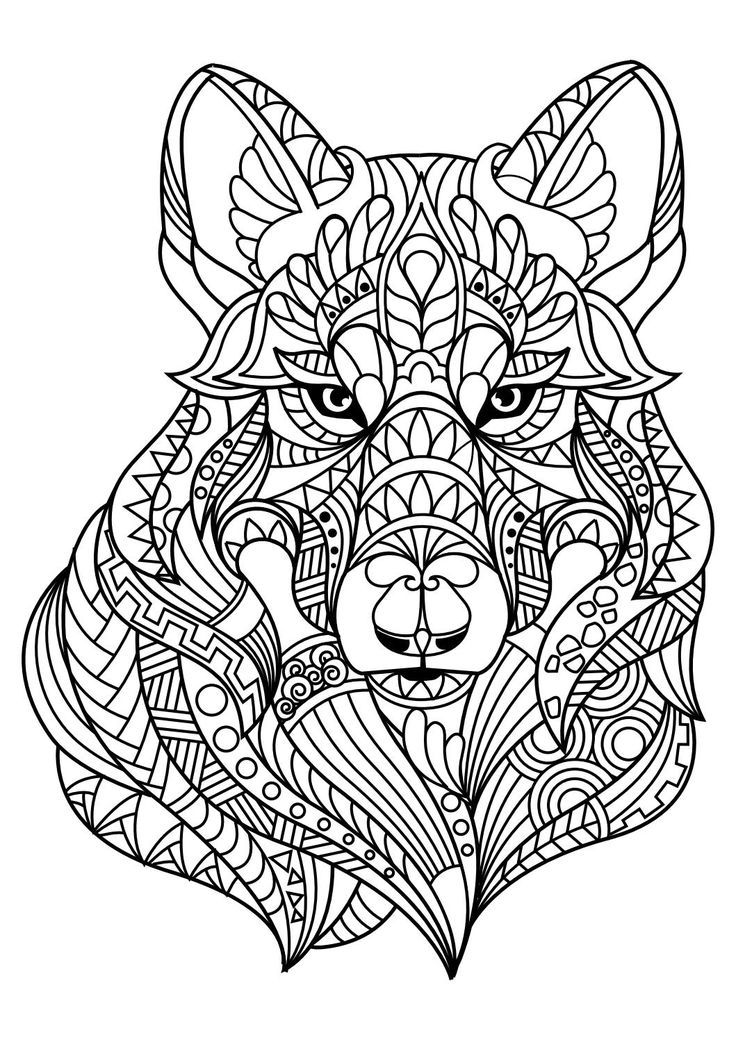 Detailed Coloring Pictures Of Animals