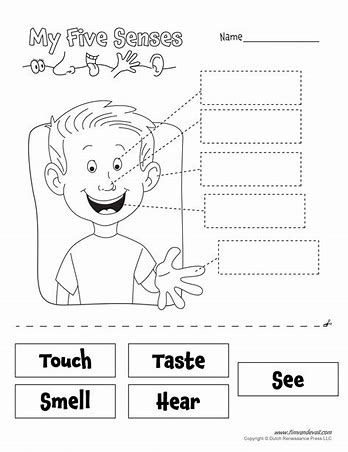 My 5 Senses Worksheets Preschool