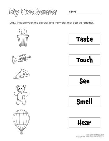 Preschool My 5 Senses Worksheet