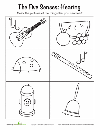 Printable 5 Senses Preschool Worksheet
