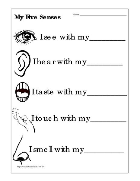 5 Senses Worksheets Pdf Kindergarten