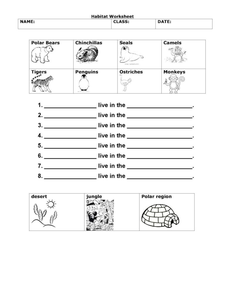 Science Worksheets For Grade 1 Plants Pdf