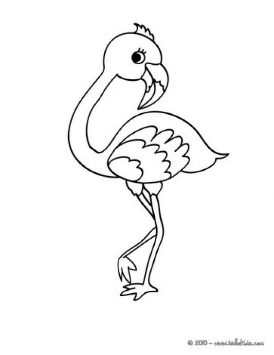 Flamingo Coloring For Kids
