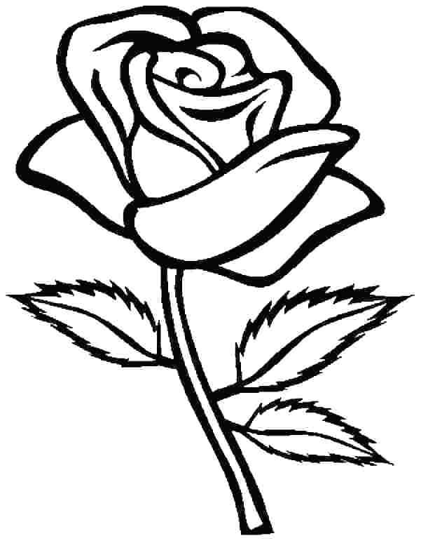 Rose Coloring Pictures Of Flowers