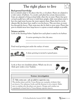 Printable 4th Grade Animal Adaptations Worksheets