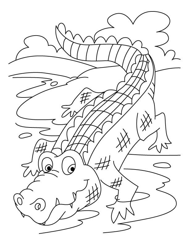 Crocodile Coloring Pages Free