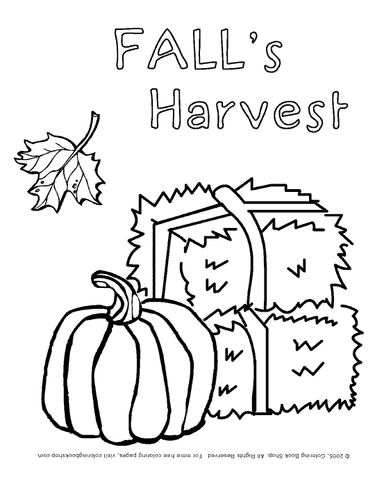 Thanksgiving Fall Harvest Thanksgiving Fall Coloring Pages