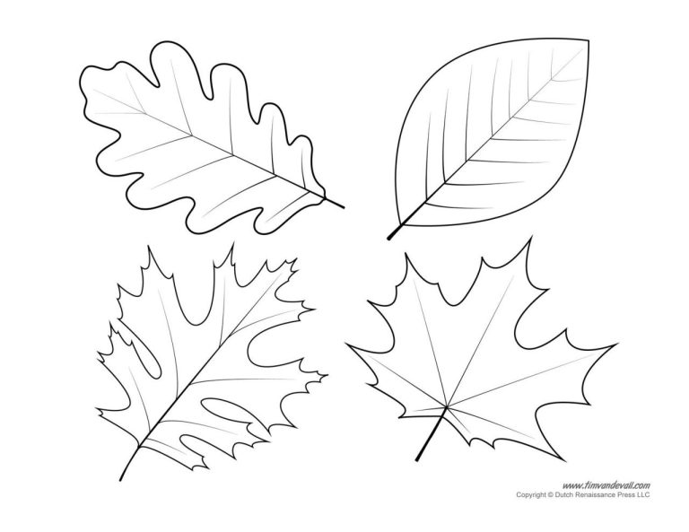 Maple Leaf Coloring Page Free