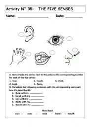 Body Senses Worksheet For Grade 1