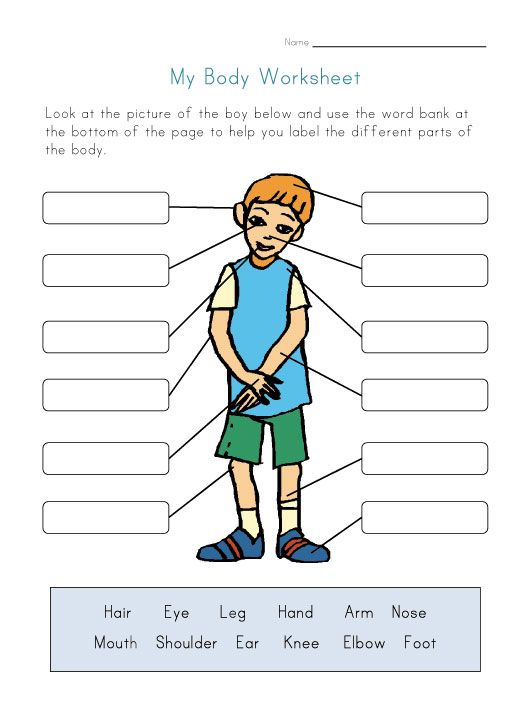 Parts Of Body Worksheet For Kindergarten
