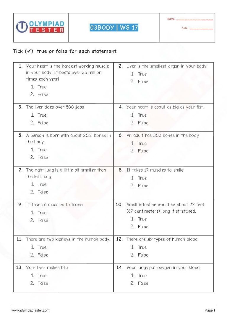 Human Body Science Worksheet For Class 3