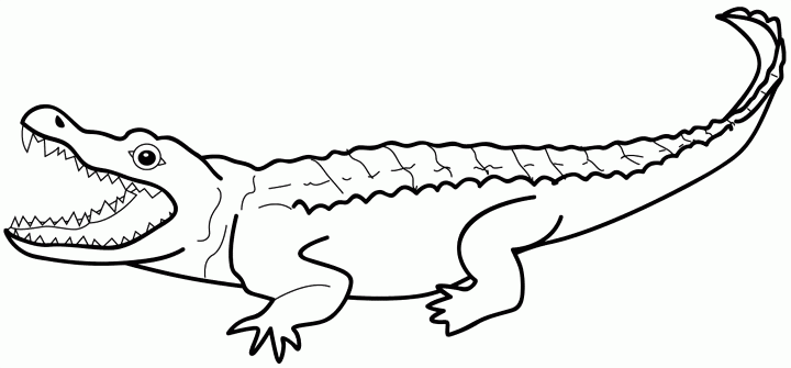 Crocodile Coloring Pictures