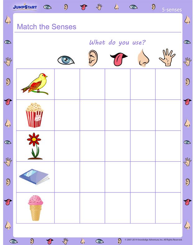 Matching Five Senses Worksheet For Kindergarten