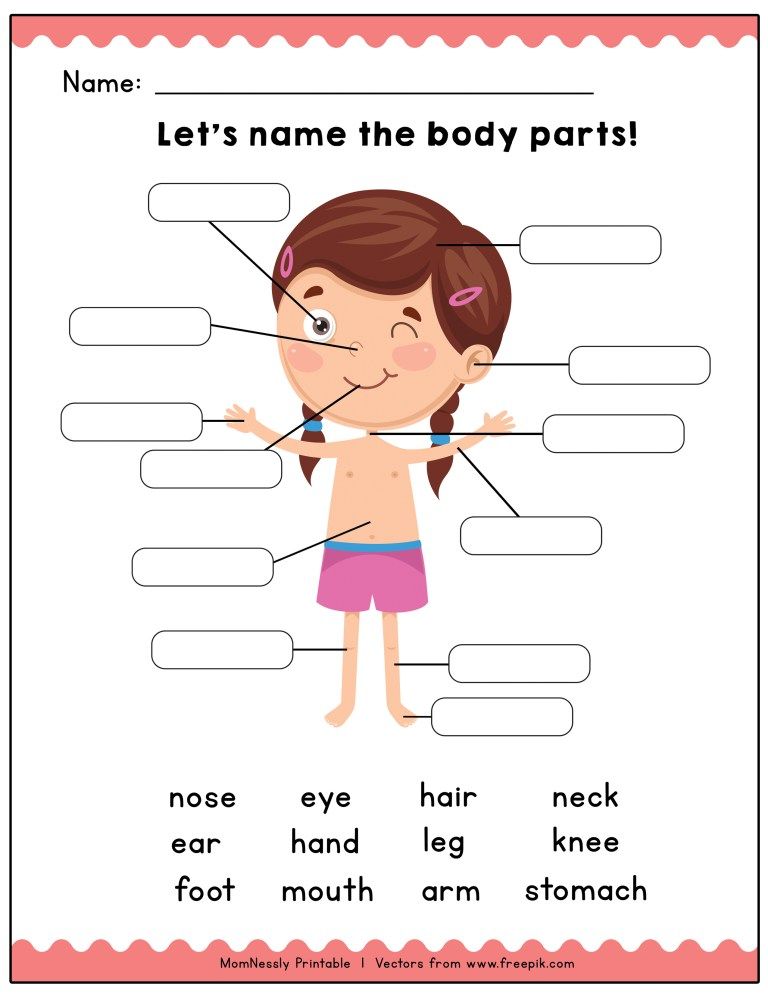 Body Parts For Kids Worksheet
