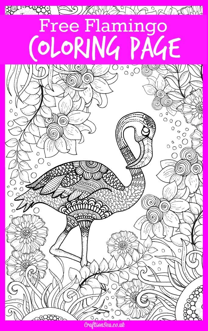 Flamingo Coloring Pages Pdf