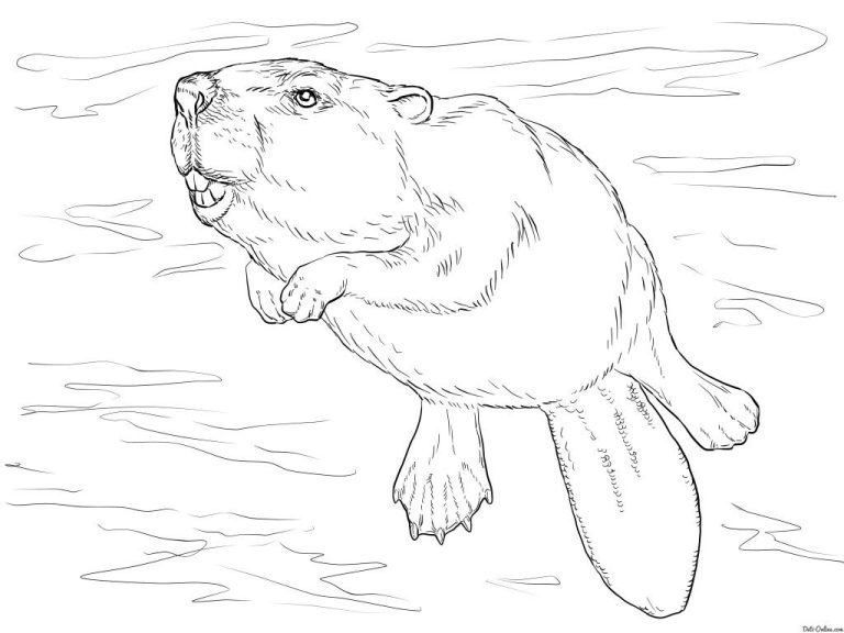 Beaver Lodge Coloring Page