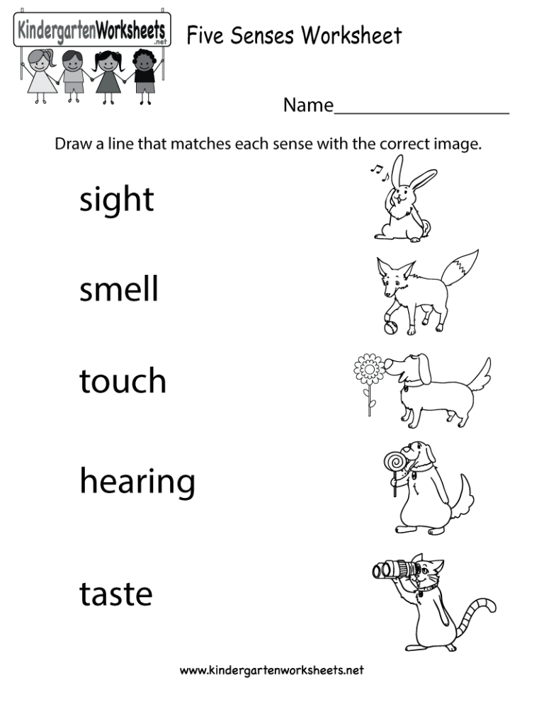 Matching Five Senses Worksheet Preschool