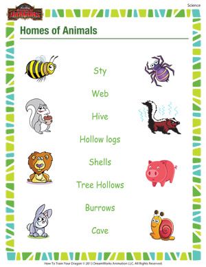 First Grade Science Worksheets For Grade 1 Animals