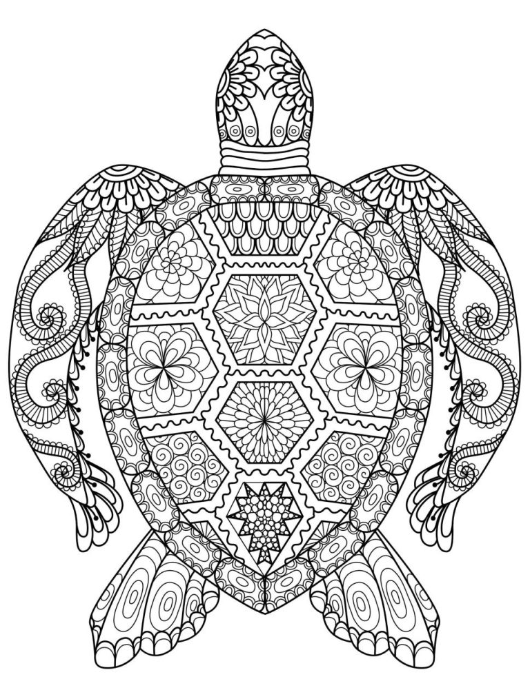 Cool Turtle Pictures To Color
