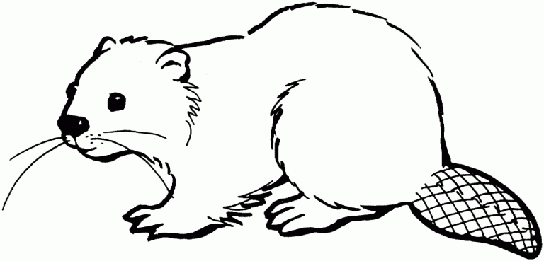 Cute Beaver Coloring Page