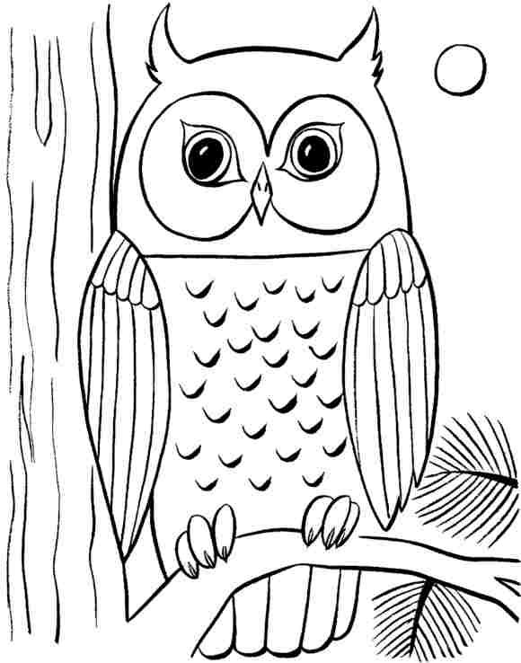 Free Cars Printable Coloring Pages
