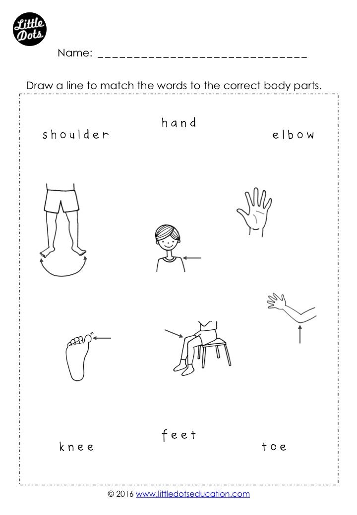 Kindergarten Body Part Matching Worksheet