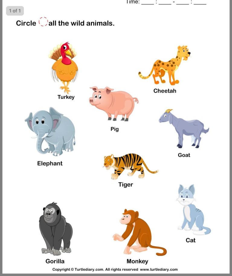 Circle Wild Animals Worksheets For Kindergarten