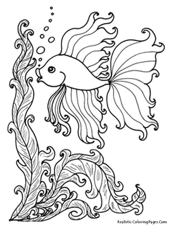 Easy Realistic Animal Coloring Pages