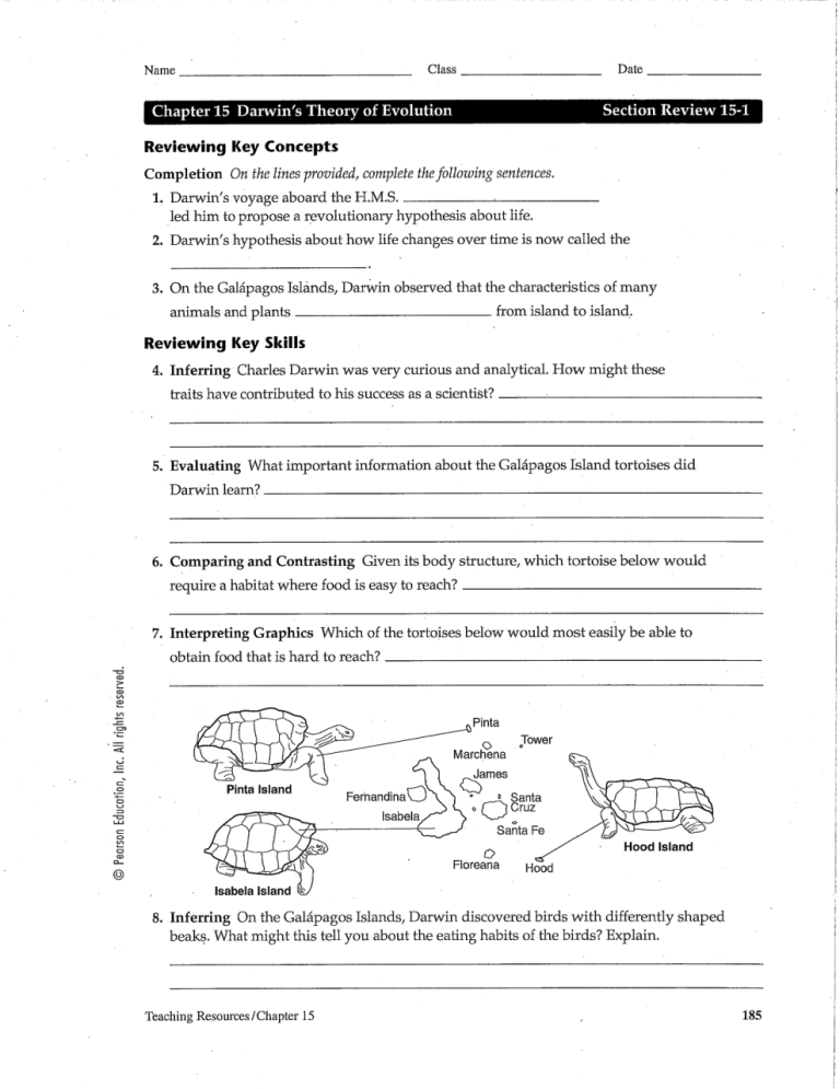 Evolution By Natural Selection Worksheet Answers