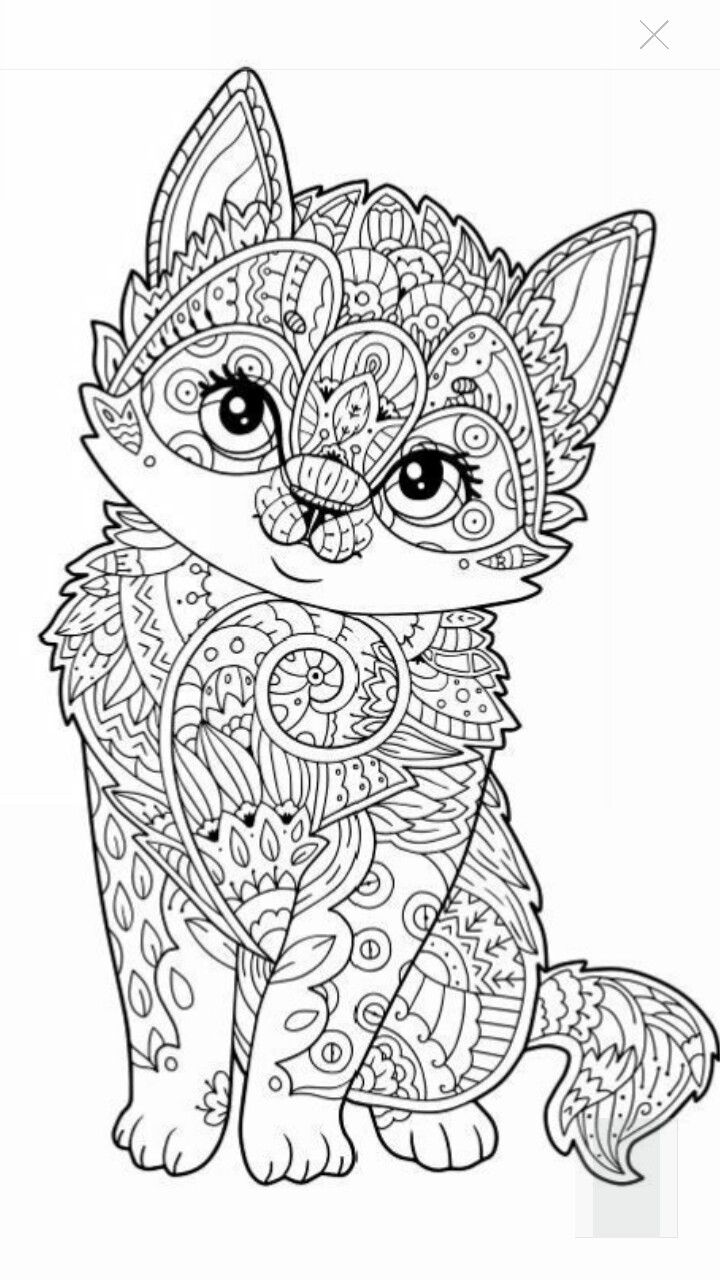 Kitten Hard Cat Coloring Pages