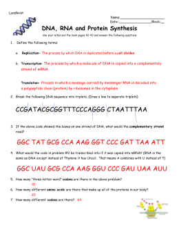 Biology Dna Replication Practice Worksheet Answers