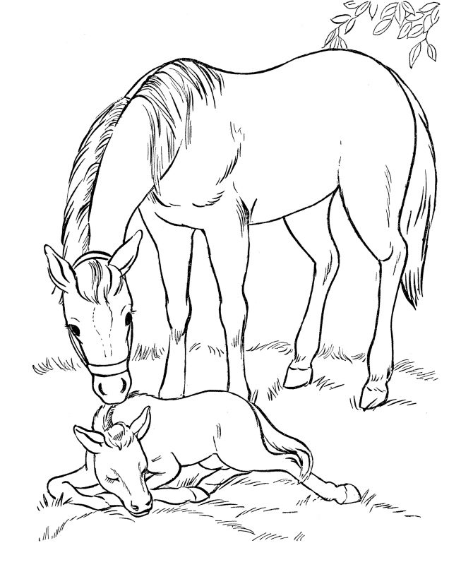 Horse Coloring Pages For Kids Animals