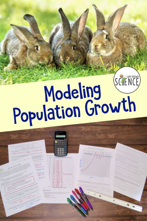 Darwin's Natural Selection Worksheet Answers Rabbit