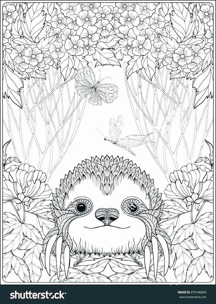 Cute Coloring Pages Of Animals Hard