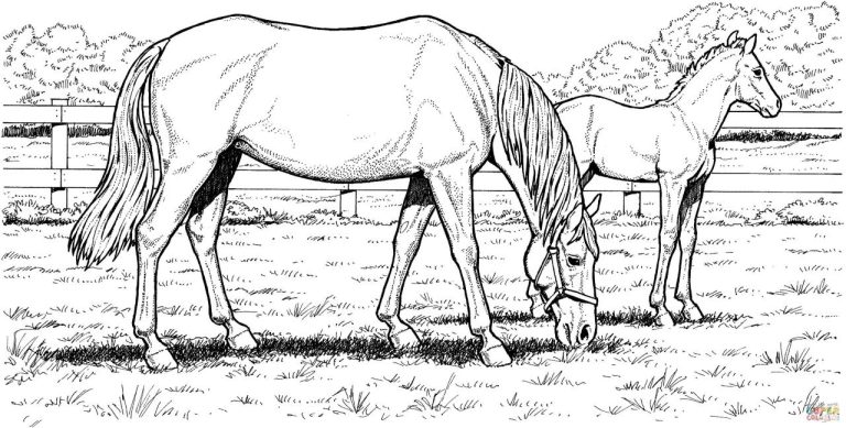 Printable Hard Horse Coloring Pages