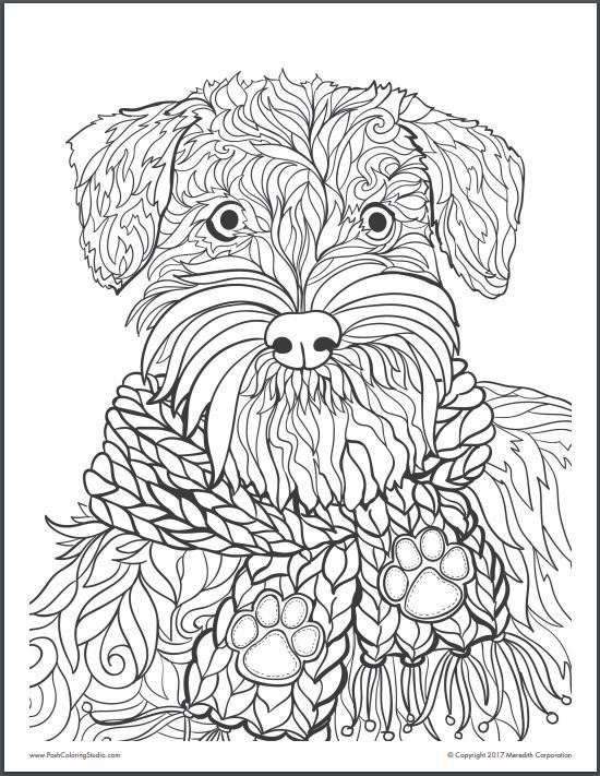 Realistic Cute Coloring Pages Of Animals
