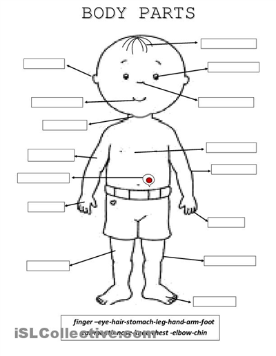 Printable Body Part Worksheet For Kindergarten