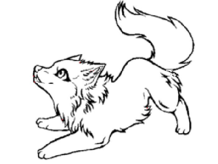 Wolf Cute Coloring Pages Of Animals