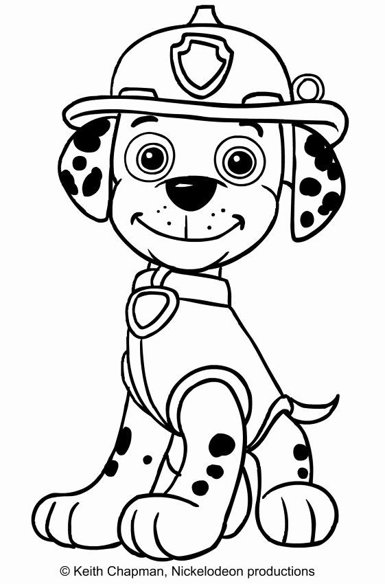 Printable Paw Patrol Coloring Pages Marshall