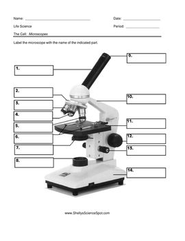 Worksheet 7th Grade Microscope Parts