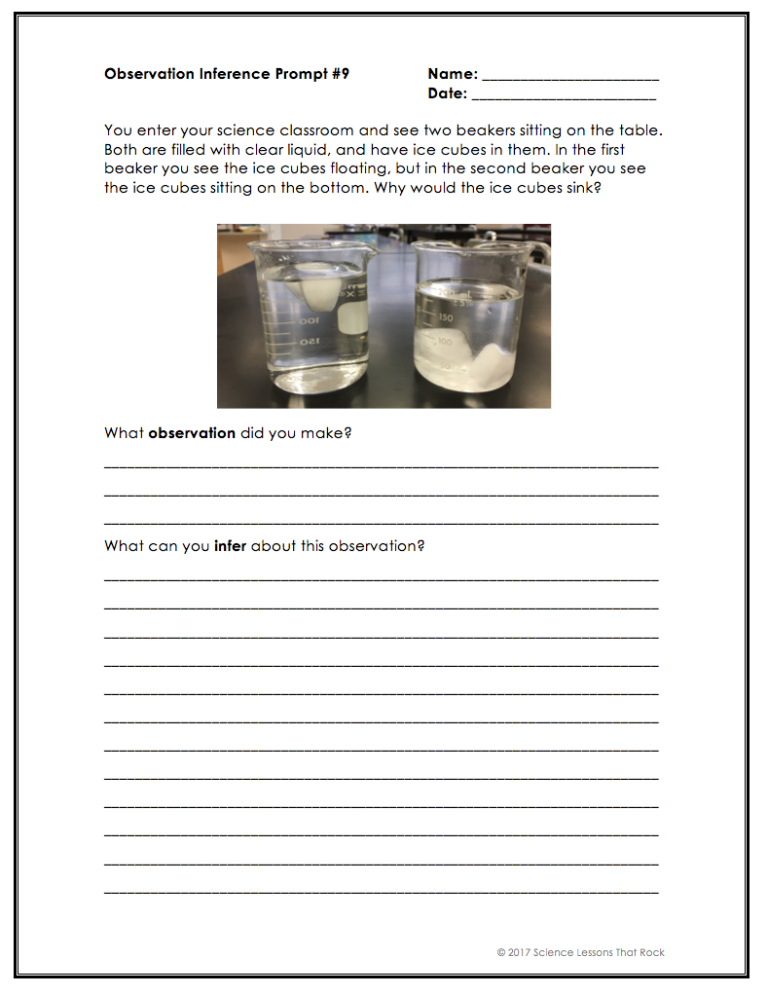 Observations And Inferences 1 Worksheet Answers