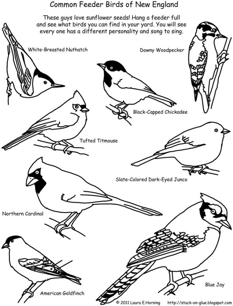 Realistic Exotic Bird Bird Coloring Pages