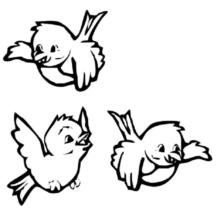 Cute Easy Bird Coloring Pages
