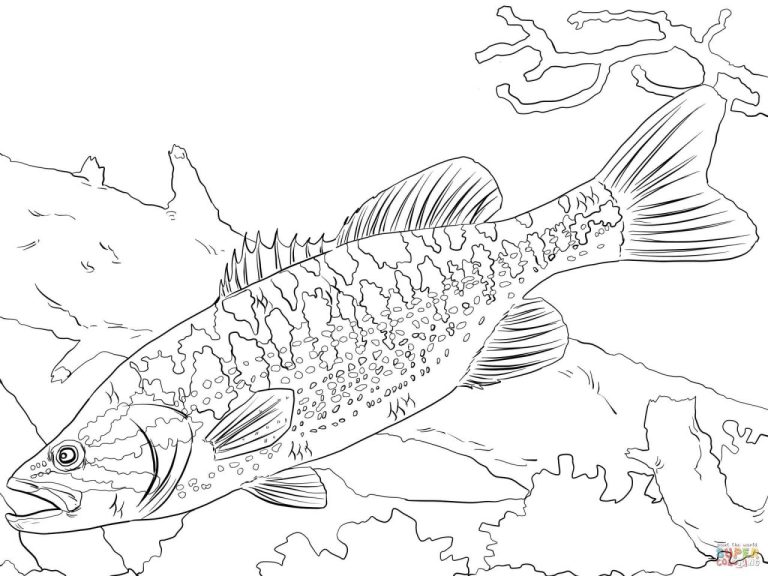 Detailed Realistic Fish Coloring Pages