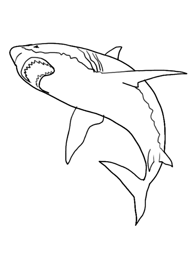 Realistic Hammerhead Shark Coloring Pages