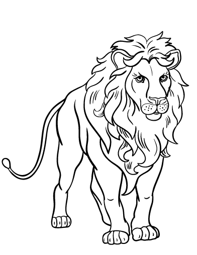 Easy Simple Lion Coloring Pages