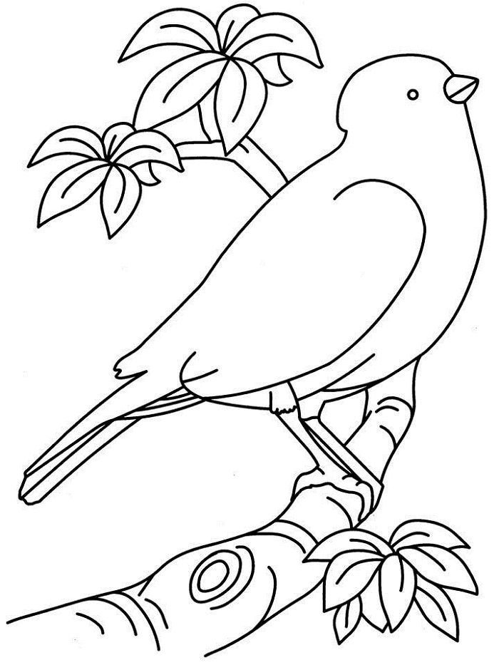 Easy Bird Mandala Coloring Pages