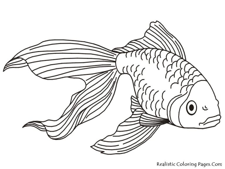 Realistic Tropical Fish Fish Coloring Pages