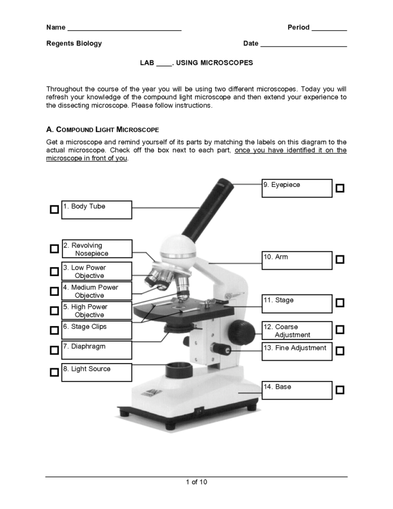 Using The Microscope Worksheet Answer Key